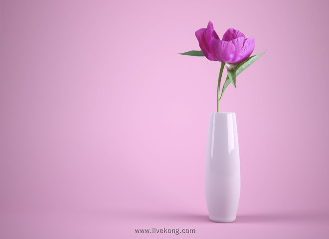 花瓶里洋桔梗花朵壁纸