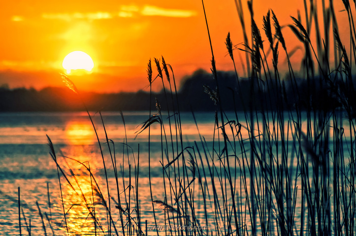 日落夕阳河边风景