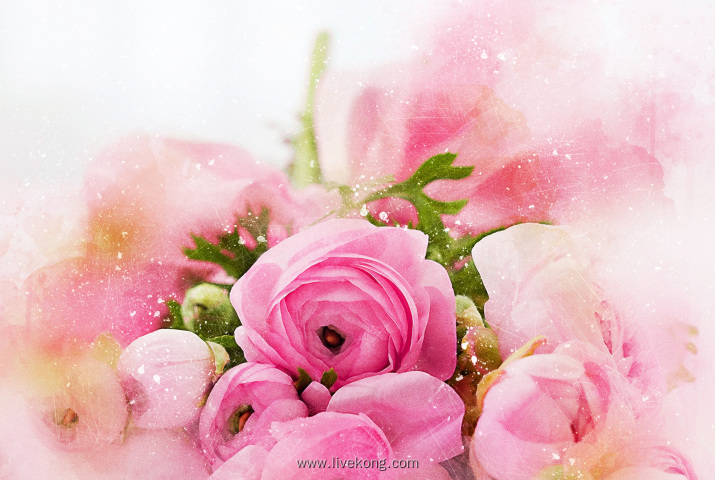 艺术水彩浪漫玫瑰花卉