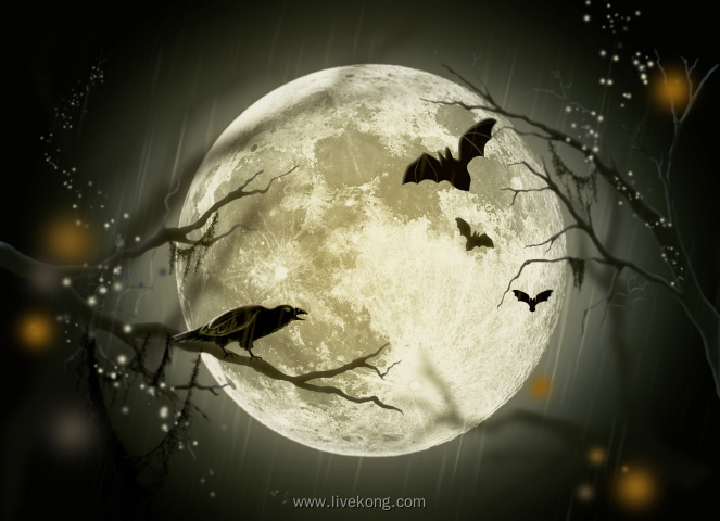 夜晚枯树枝上乌鸦蝙蝠