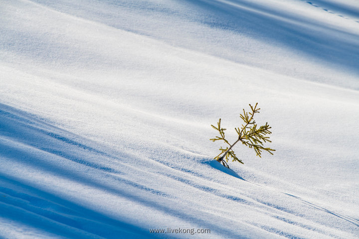 唯美冬季雪地美景