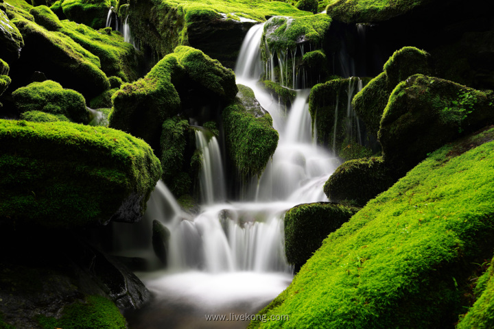 森林小溪美景