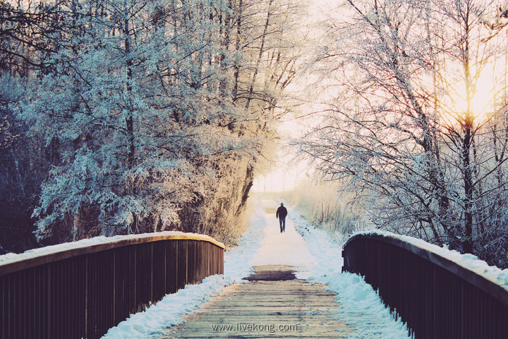 雪天美景