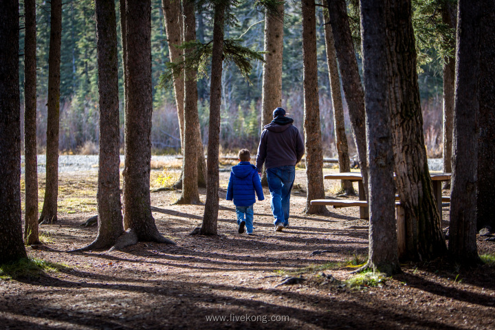 父亲牵着孩子手在树林里散步