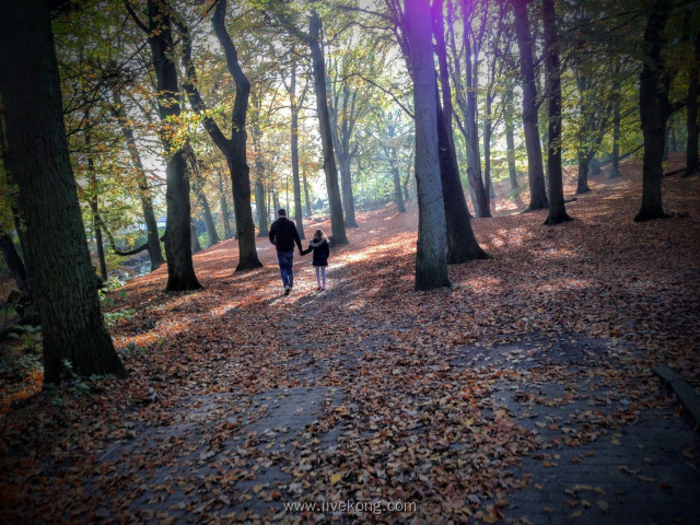 阳光下父女在树林里散步