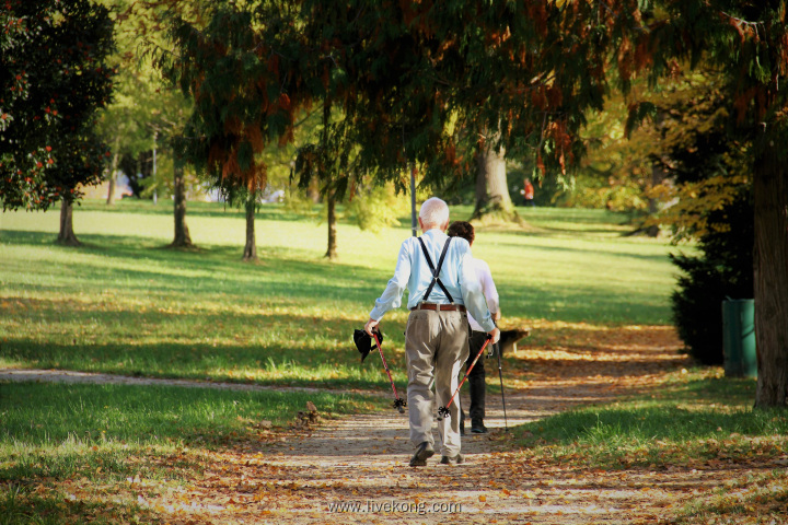 老人在公园里散步