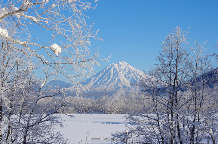 唯美美丽雪景