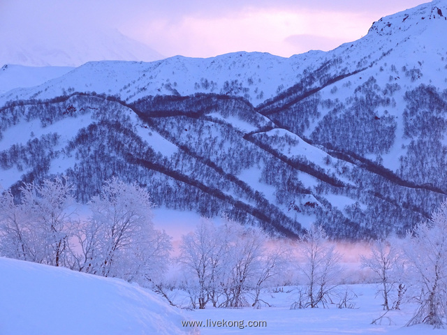 唯美雪景