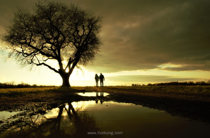情侣在大树下看风景散步