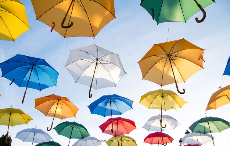 彩色雨伞装饰