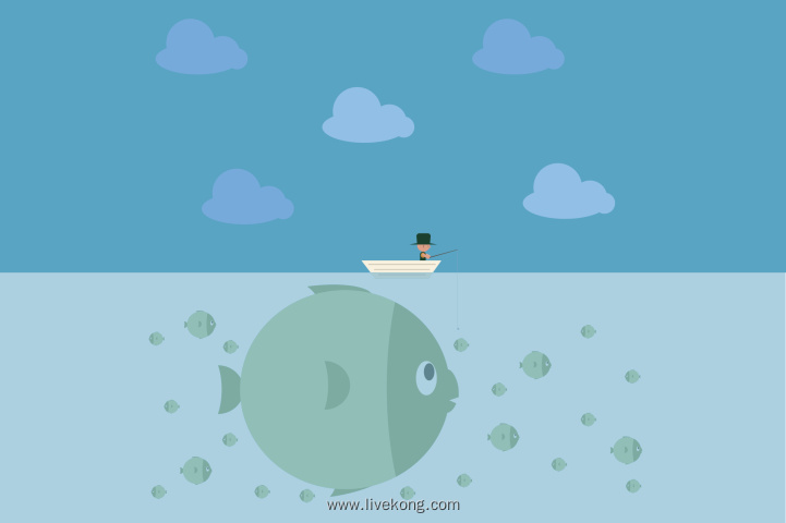 钓鱼插画