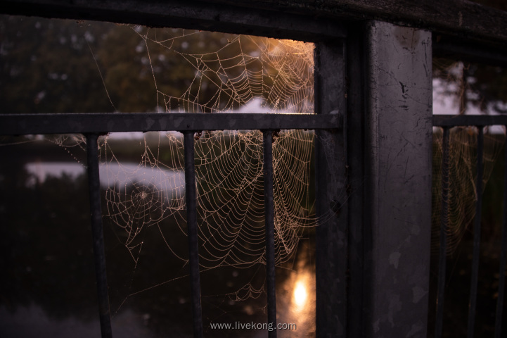 旧房子角落蜘蛛网