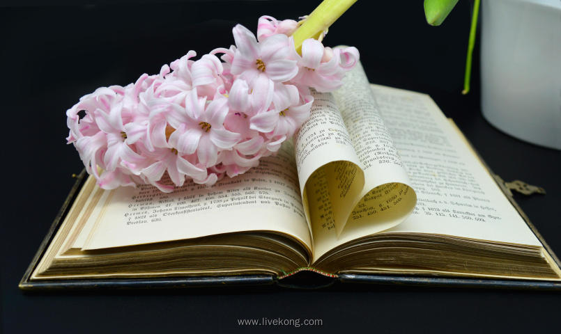 花朵放在书本上