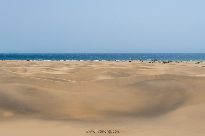 海边沙丘风景