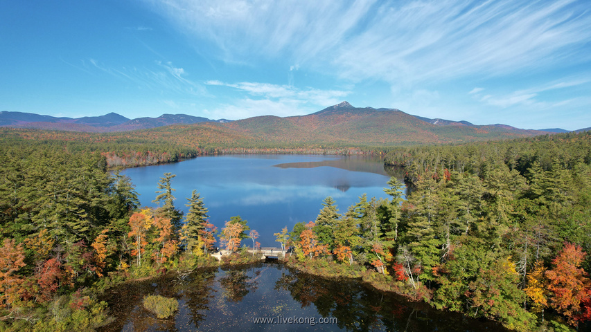 森林湖水美景