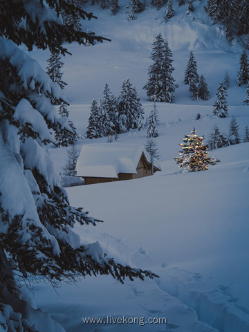 冬季雪景