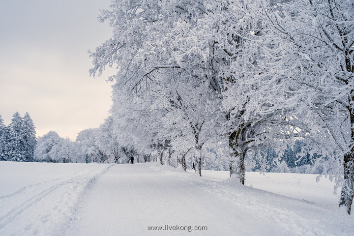 唯美冬季雪景