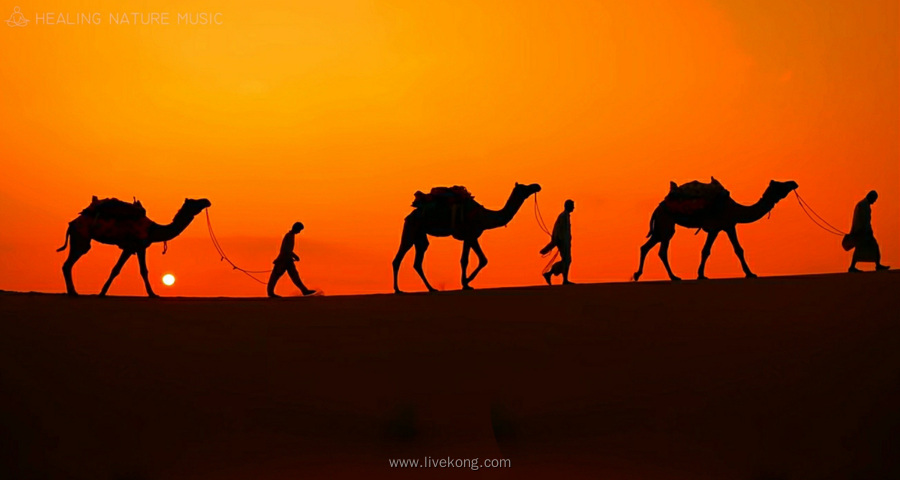 人牵骆驼走在沙漠上