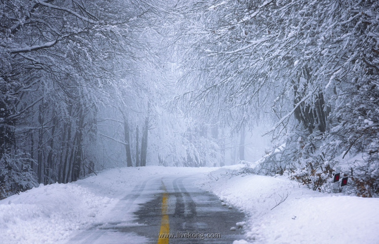 冬季雪景