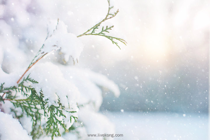 冬季雪景